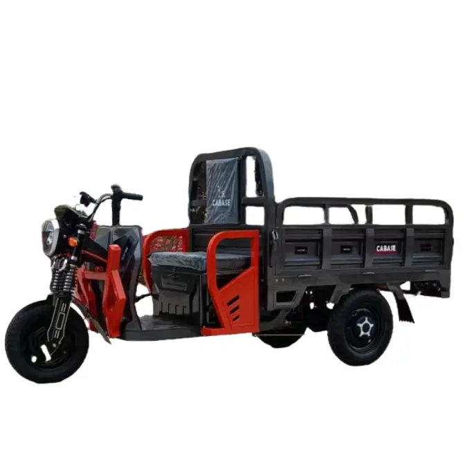 Rising Demand for Electric Cargo Tricycles in Europe & US