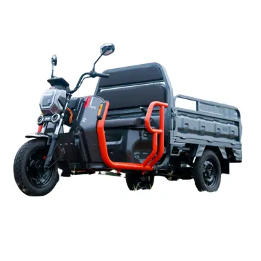 Revolutionizing Transport: New Electric Three-Wheeled Freight Vehicle