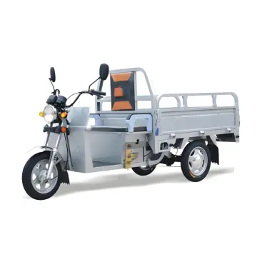 1.6M Electric Tricycle